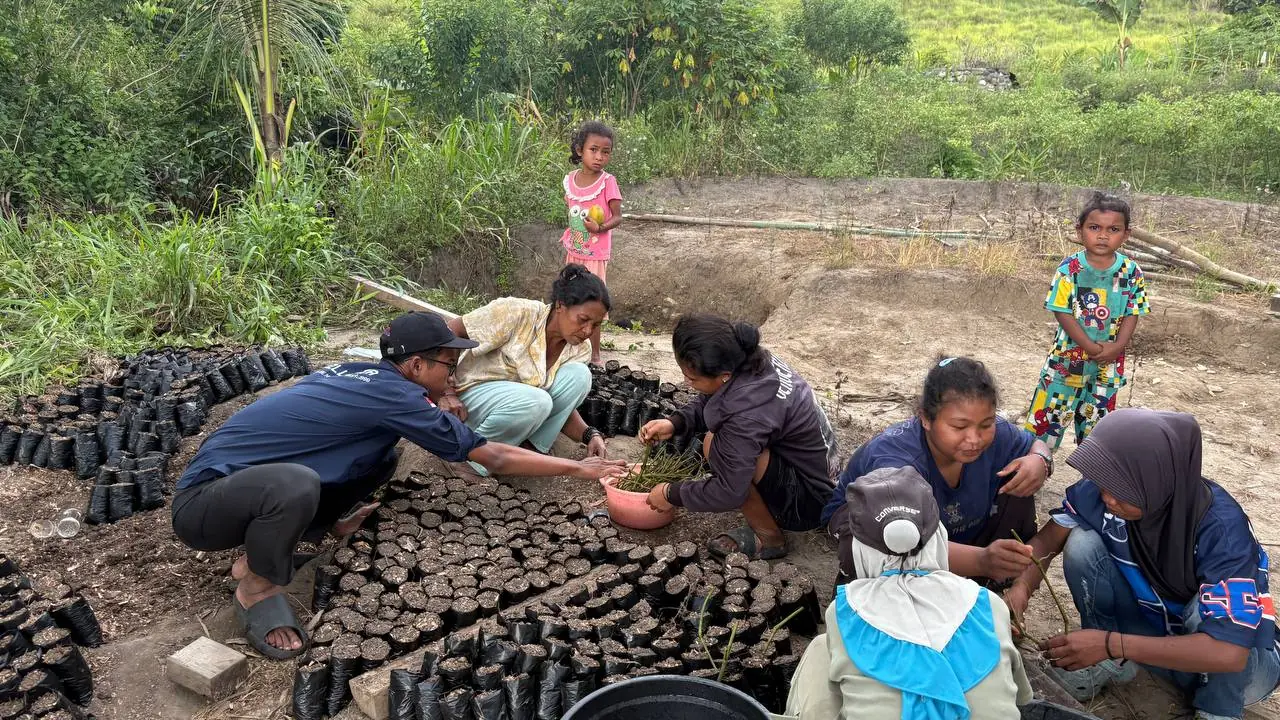 Contract farmers preparing seedlings